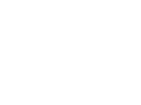 Government Commercial Agency Supplier